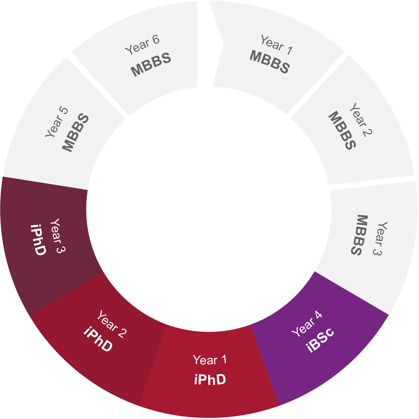 Timeline showing where phd fits in medical degree