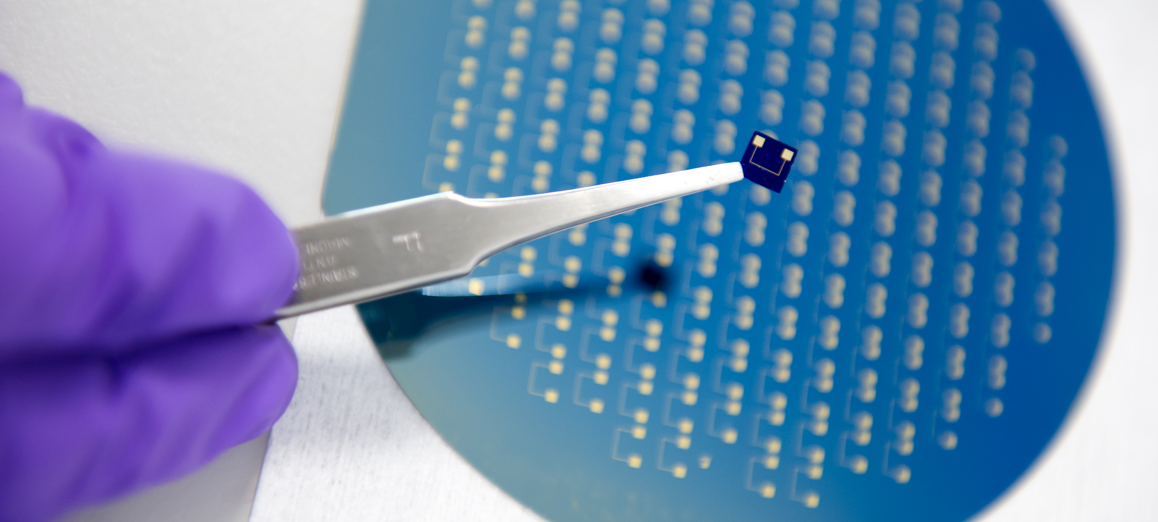 Silicon wafer in the background and three individual silicon chips held by the tweezer. The chips are nanopore sensors which are used for single protein and DNA detection.